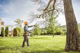 Best Commercial Tree Services  in East Norwich, NY